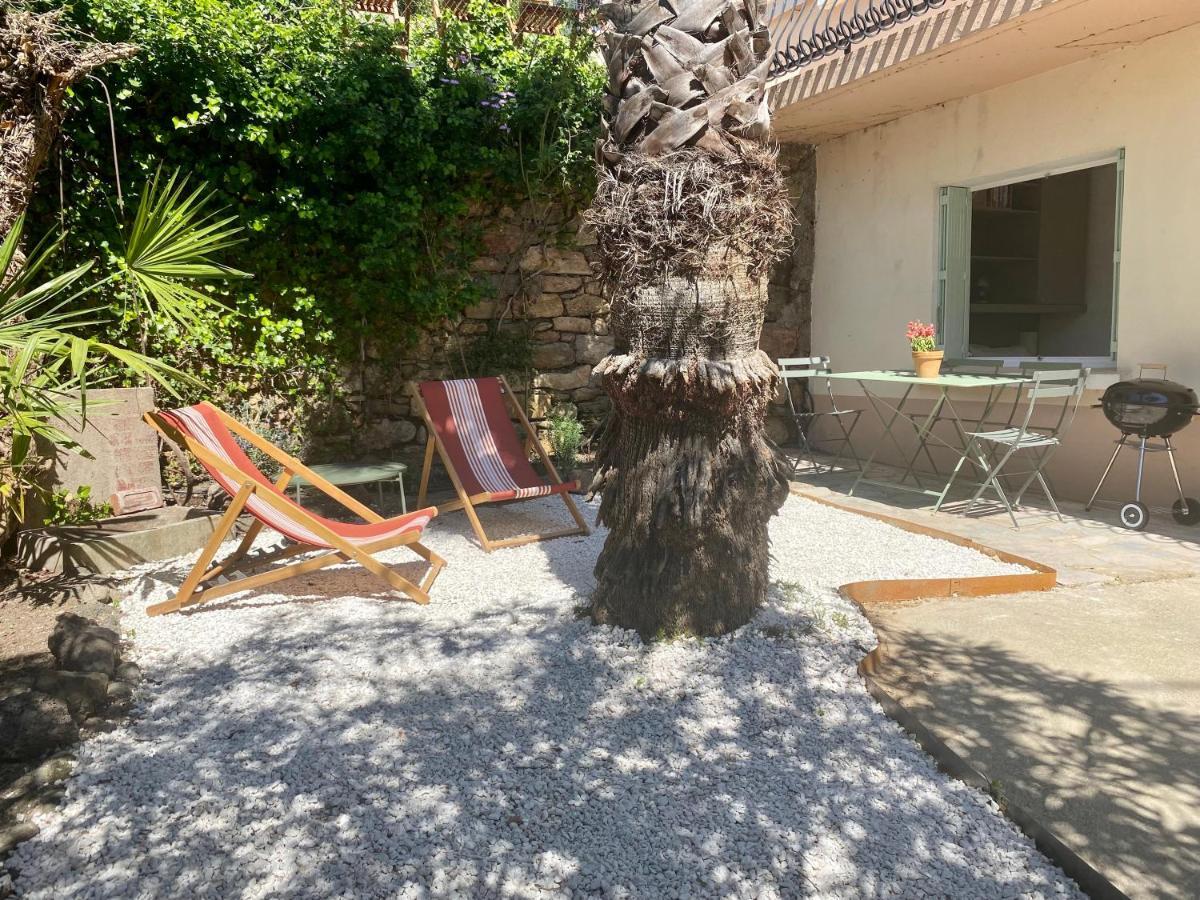 Gite Le Palmier - Perfectly Located Cosy Studio With Private Garden Puissalicon Dış mekan fotoğraf