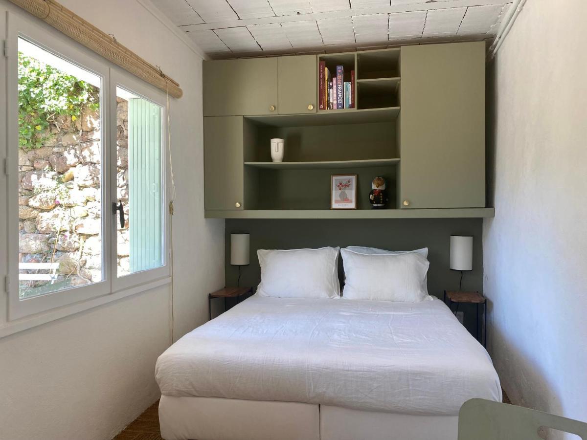 Gite Le Palmier - Perfectly Located Cosy Studio With Private Garden Puissalicon Dış mekan fotoğraf