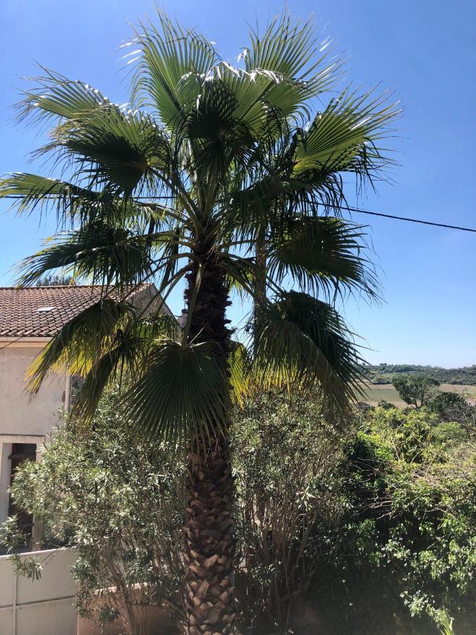 Gite Le Palmier - Perfectly Located Cosy Studio With Private Garden Puissalicon Dış mekan fotoğraf