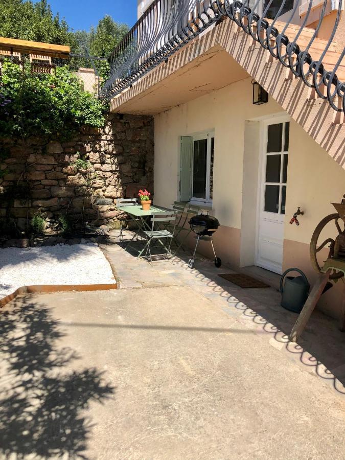 Gite Le Palmier - Perfectly Located Cosy Studio With Private Garden Puissalicon Dış mekan fotoğraf