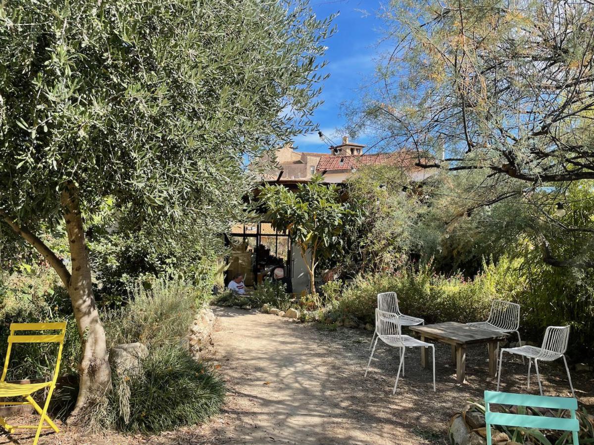 Gite Le Palmier - Perfectly Located Cosy Studio With Private Garden Puissalicon Dış mekan fotoğraf