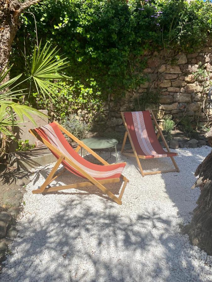 Gite Le Palmier - Perfectly Located Cosy Studio With Private Garden Puissalicon Dış mekan fotoğraf