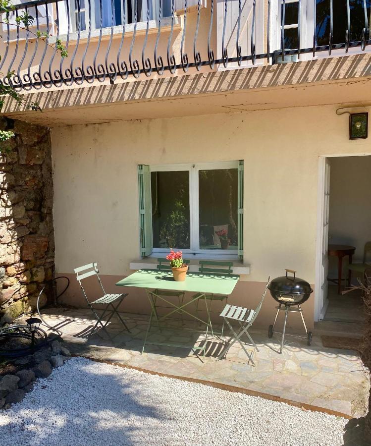 Gite Le Palmier - Perfectly Located Cosy Studio With Private Garden Puissalicon Dış mekan fotoğraf